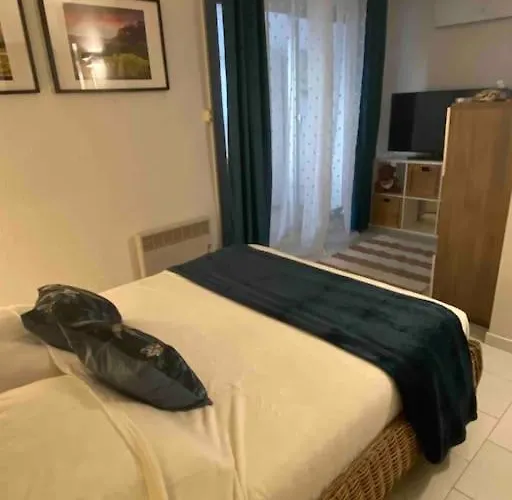 Belle Grande Marina En Duplex Avec Appontement *